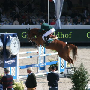 Showjumping horse