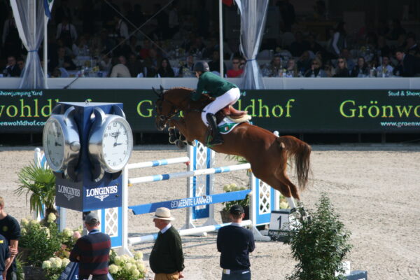 Showjumping horse